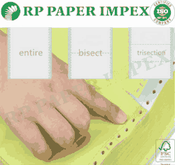 3 Triple Ply Pre Printed Continuous Computer Paper Form